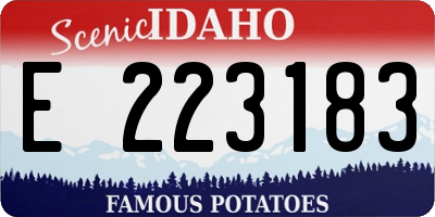 ID license plate E223183