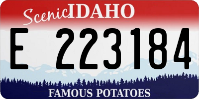 ID license plate E223184