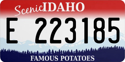 ID license plate E223185