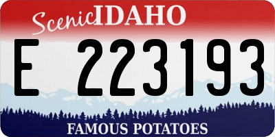 ID license plate E223193