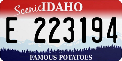 ID license plate E223194
