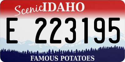 ID license plate E223195