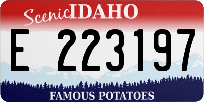 ID license plate E223197