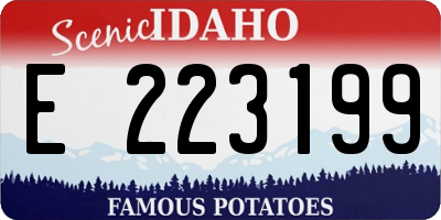 ID license plate E223199