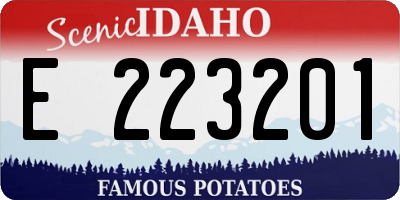 ID license plate E223201