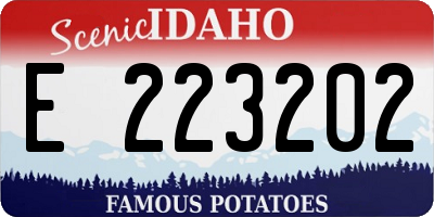 ID license plate E223202