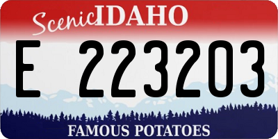 ID license plate E223203