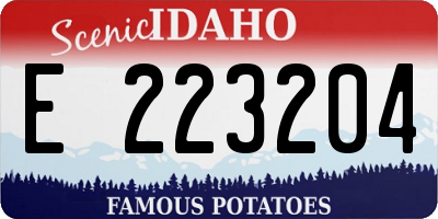 ID license plate E223204