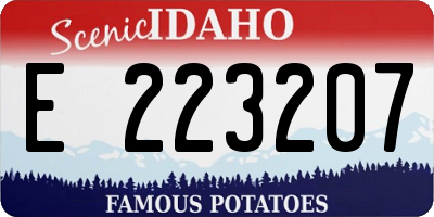 ID license plate E223207