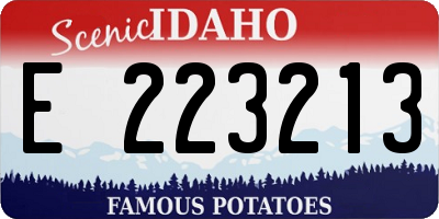 ID license plate E223213