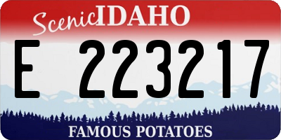 ID license plate E223217