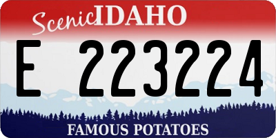 ID license plate E223224