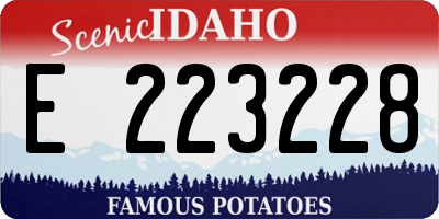 ID license plate E223228