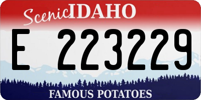 ID license plate E223229