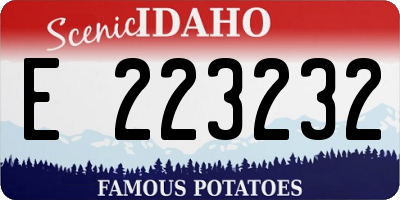 ID license plate E223232