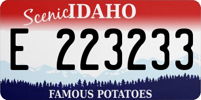 ID license plate E223233