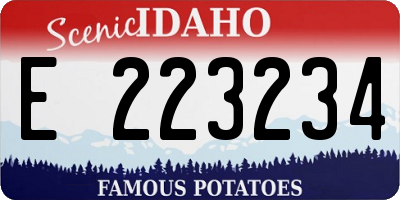 ID license plate E223234