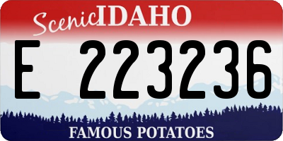 ID license plate E223236