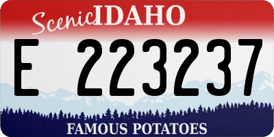 ID license plate E223237