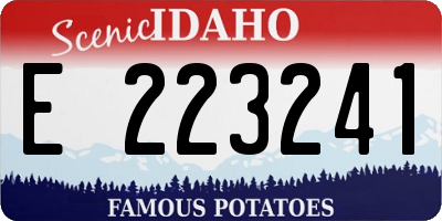 ID license plate E223241