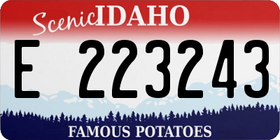 ID license plate E223243