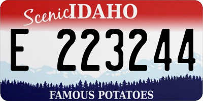ID license plate E223244