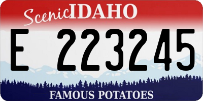 ID license plate E223245