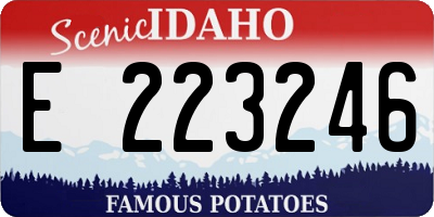 ID license plate E223246