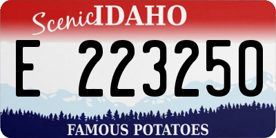 ID license plate E223250