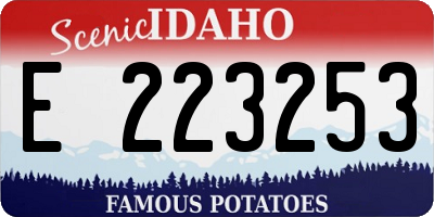 ID license plate E223253