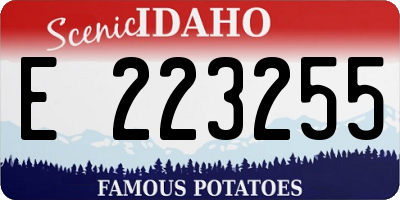 ID license plate E223255