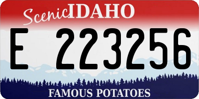 ID license plate E223256