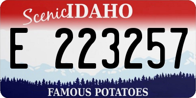 ID license plate E223257