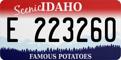 ID license plate E223260