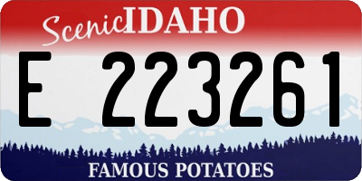 ID license plate E223261