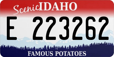 ID license plate E223262
