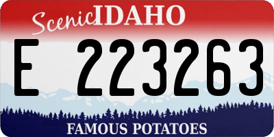 ID license plate E223263