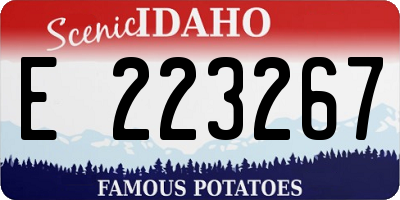 ID license plate E223267