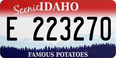ID license plate E223270