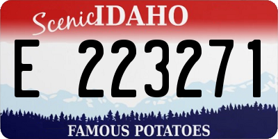 ID license plate E223271