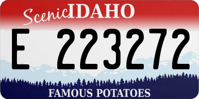 ID license plate E223272