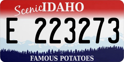 ID license plate E223273