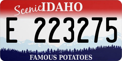 ID license plate E223275