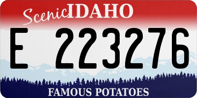 ID license plate E223276