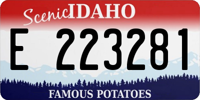 ID license plate E223281