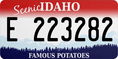 ID license plate E223282