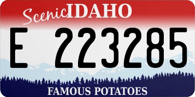 ID license plate E223285