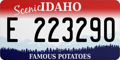 ID license plate E223290