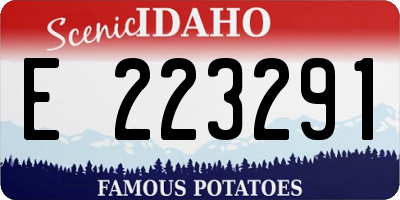 ID license plate E223291