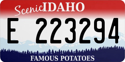 ID license plate E223294
